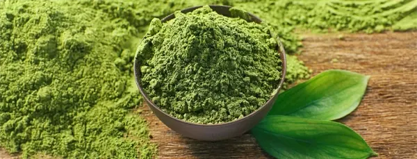 Green tea powder in a bowl with fresh tea leaves